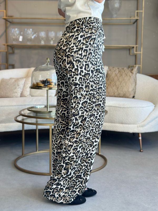 SAMY BUKSE - LEOPARD